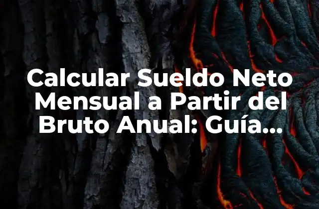 Calcular Sueldo Neto Mensual a Partir Del Bruto Anual: Guía Definitiva