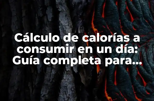 Cálculo de Calorías a Consumir en un Día: Guía Completa para una Alimentación Equilibrada