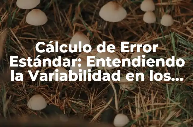 Cálculo de Error Estándar: Entendiendo la Variabilidad en los Datos