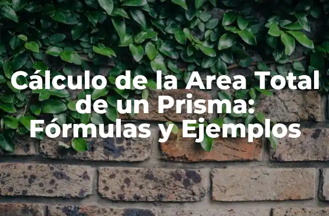 Cálculo de la Area Total de un Prisma: Fórmulas y Ejemplos