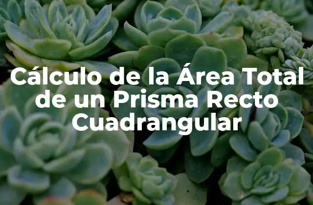 Cálculo de la Área Total de un Prisma Recto Cuadrangular