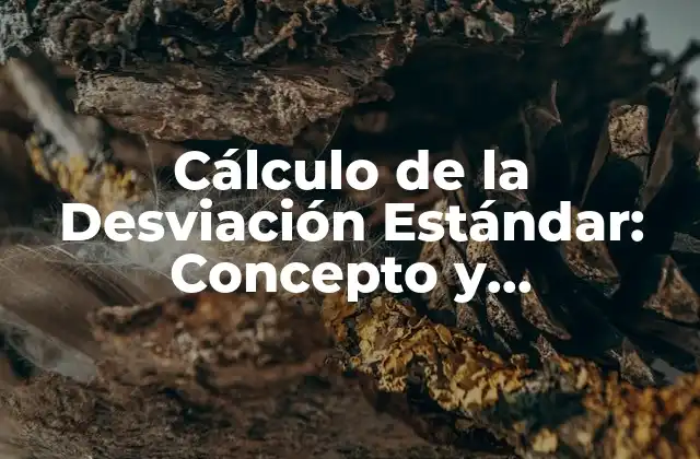 Cálculo de la Desviación Estándar: Concepto y Aplicaciones
