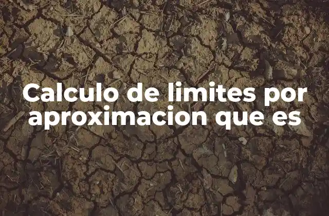 Calculo de Limites por Aproximacion que es