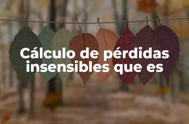 Cálculo de Pérdidas Insensibles que es