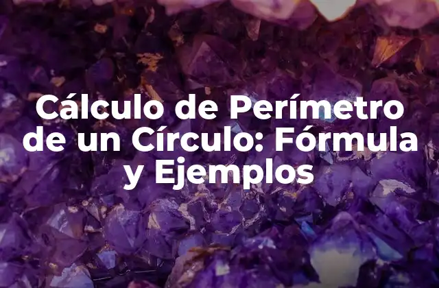 ¿Qué es el Perímetro de un Círculo?