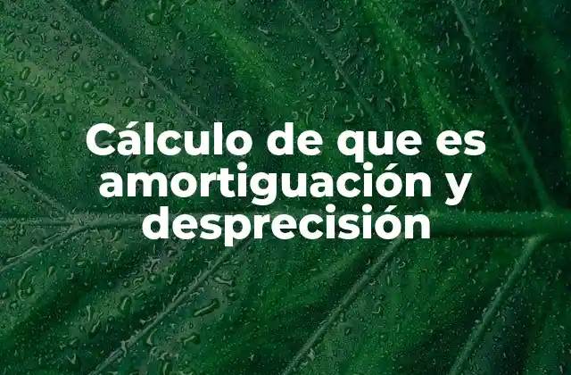Cálculo de que es Amortiguación y Desprecisión