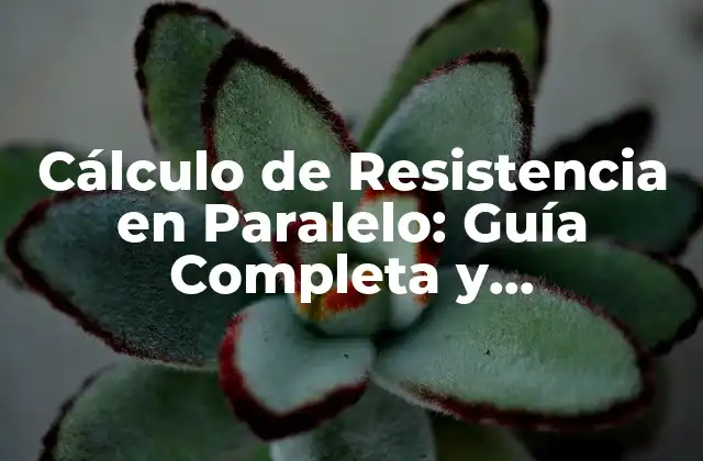 Cálculo de Resistencia en Paralelo: Guía Completa y Actualizada