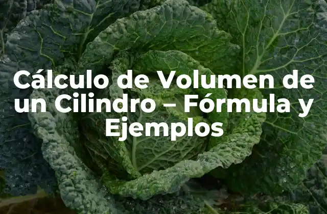 Cálculo de Volumen de un Cilindro – Fórmula y Ejemplos
