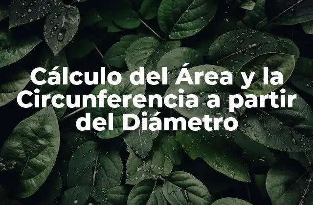 Cálculo Del Área y la Circunferencia a Partir Del Diámetro