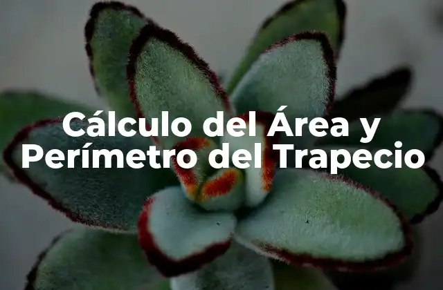 Cálculo Del Área y Perímetro Del Trapecio
