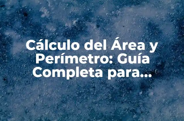 Cálculo Del Área y Perímetro: Guía Completa para Entender las Figuras Geométricas