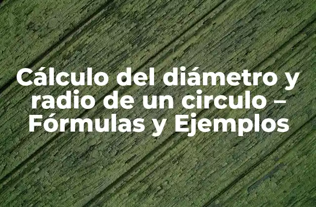 Cálculo Del Diámetro y Radio de un Circulo – Fórmulas y Ejemplos