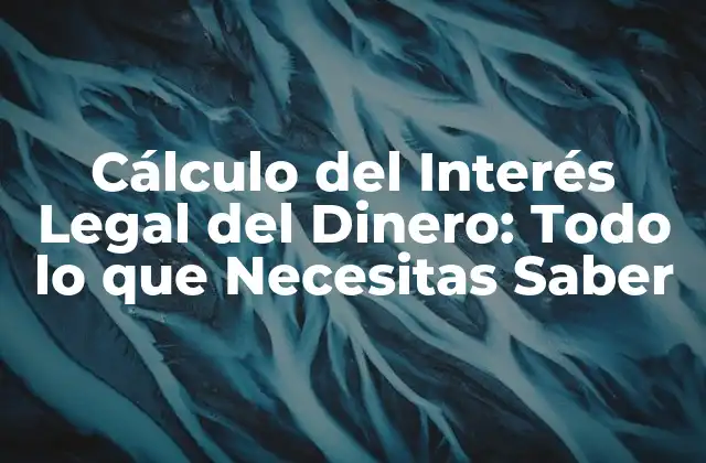 Cálculo Del Interés Legal Del Dinero: Todo Lo que Necesitas Saber