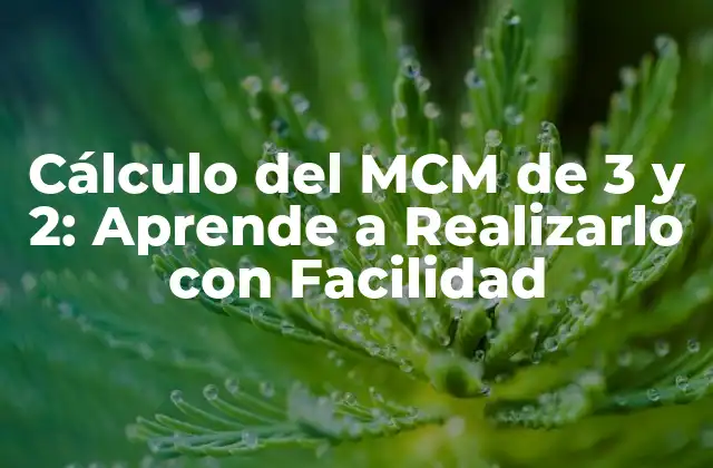 Cálculo Del Mcm de 3 y 2: Aprende a Realizarlo con Facilidad
