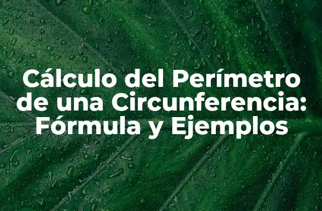 Cálculo Del Perímetro de una Circunferencia: Fórmula y Ejemplos