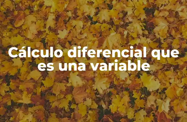 Cálculo Diferencial que es una Variable