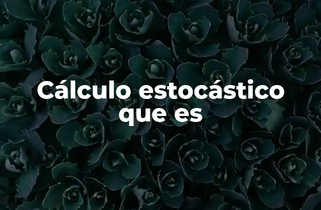 Cálculo Estocástico que es