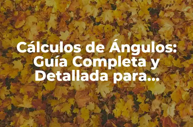 Cálculos de Ángulos: Guía Completa y Detallada para Resolver Problemas de Geometría