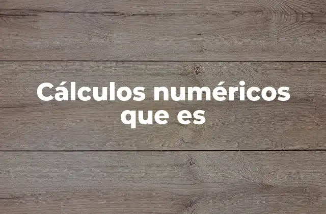 Cálculos Numéricos que es