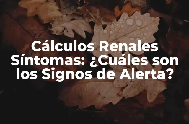 Cálculos Renales Síntomas: ¿cuáles Son los Signos de Alerta?