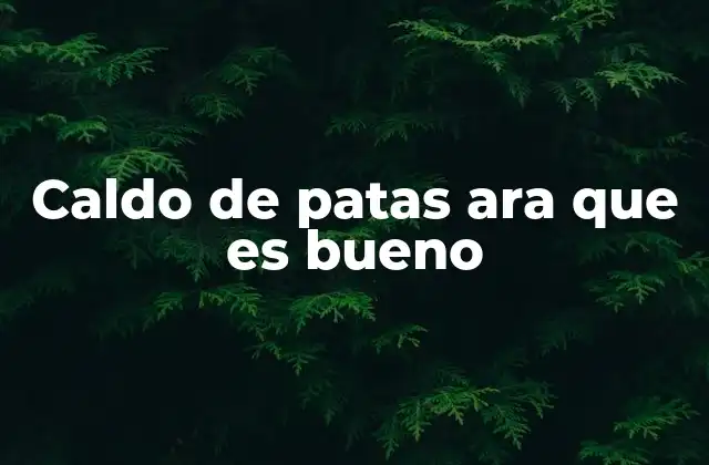 Caldo de Patas Ara que es Bueno