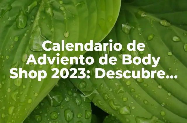Calendario de Adviento de Body Shop 2023: Descubre los Regalos Sorpresa