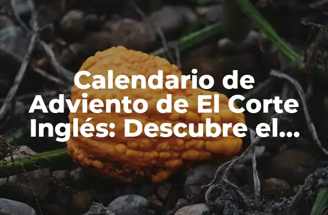 Calendario de Adviento de el Corte Inglés: Descubre el Secreto de la Navidad