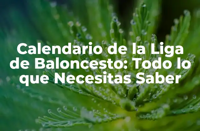 Calendario de la Liga de Baloncesto: Todo Lo que Necesitas Saber
