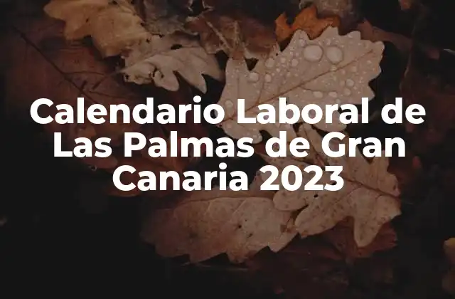 Calendario Laboral de las Palmas de Gran Canaria 2023 2 ¿Qué es el Calendario Laboral de Las Palmas de Gran Canaria?
