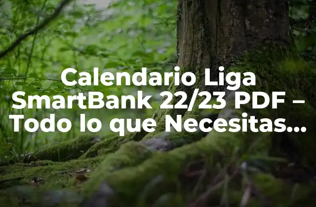 Calendario Liga Smartbank 22/23 Pdf – Todo Lo que Necesitas Saber