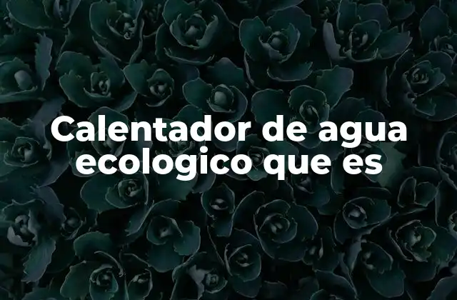 Sistemas alternativos para obtener agua caliente sostenible