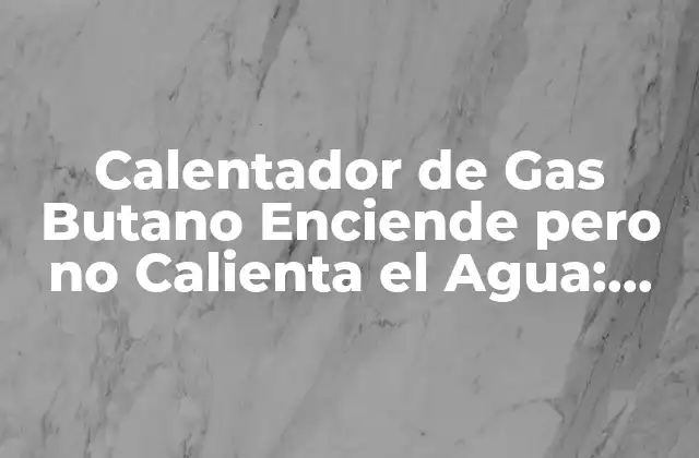 Calentador de Gas Butano Enciende pero No Calienta el Agua: Soluciones y Causas