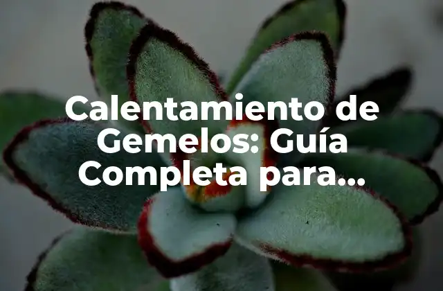 Calentamiento de Gemelos: Guía Completa para Entrenar con Efectividad