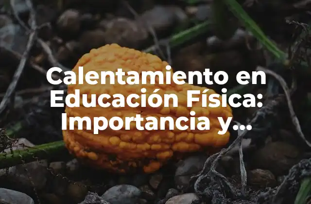 Calentamiento en Educación Física: Importancia y Beneficios