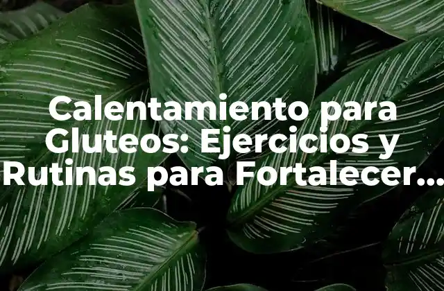 Calentamiento para Gluteos: Ejercicios y Rutinas para Fortalecer y Tonalizar