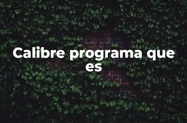 Calibre Programa que es