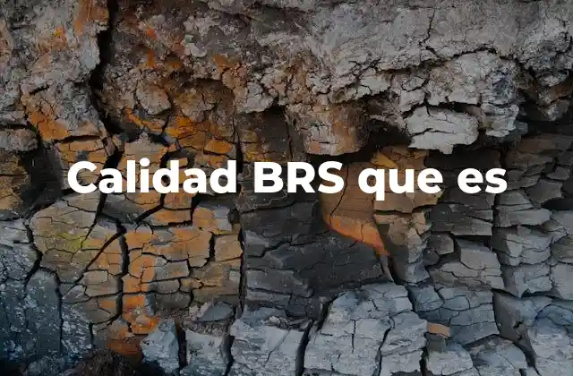Calidad Brs que es