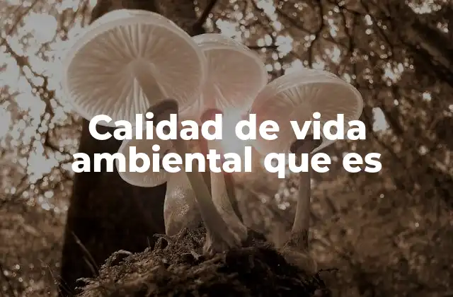 Calidad de Vida Ambiental que es