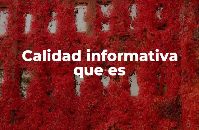 Calidad Informativa que es