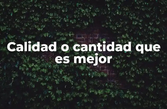 Calidad o Cantidad que es Mejor