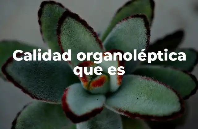Calidad Organoléptica que es