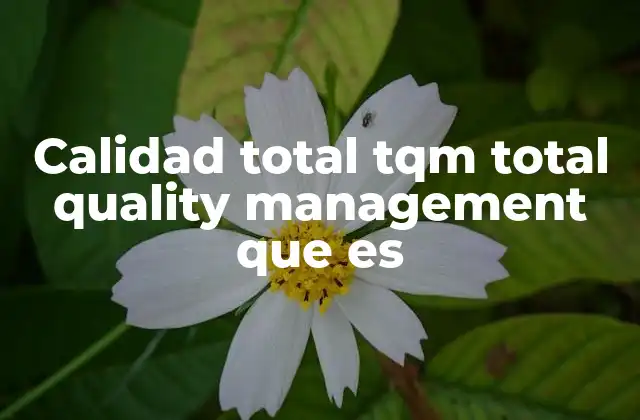 Calidad Total Tqm Total Quality Management que es