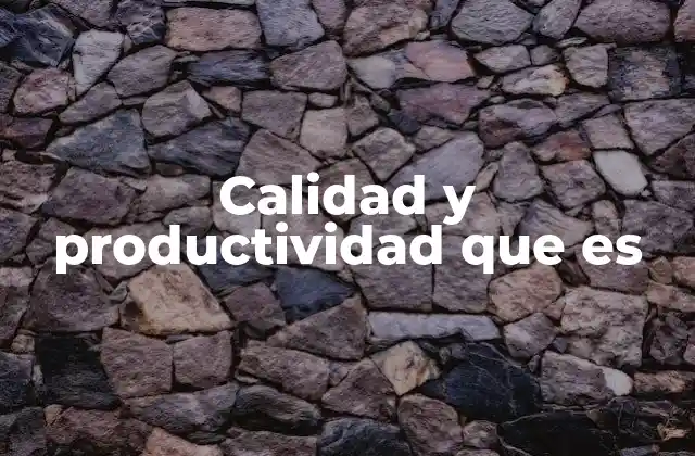 Calidad y Productividad que es
