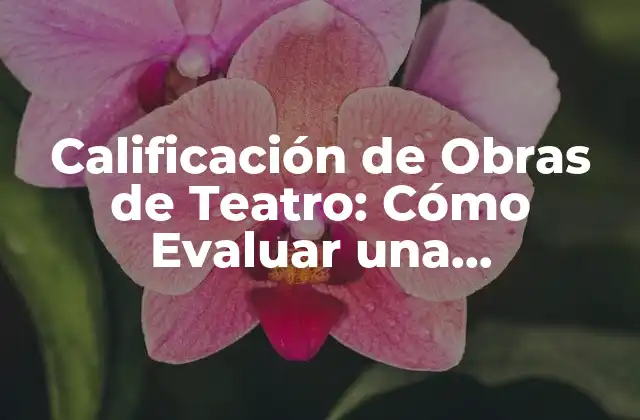 Calificación de Obras de Teatro: Cómo Evaluar una Producción Escénica