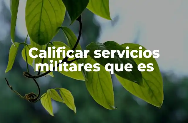 Calificar Servicios Militares que es