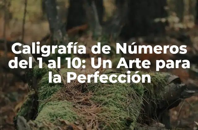Caligrafía de Números Del 1 Al 10: un Arte para la Perfección