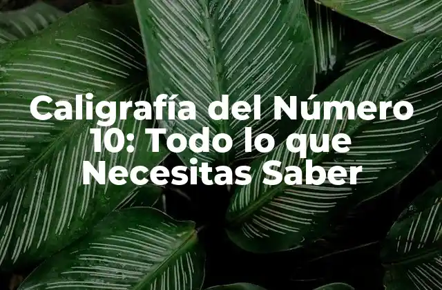 Caligrafía Del Número 10: Todo Lo que Necesitas Saber