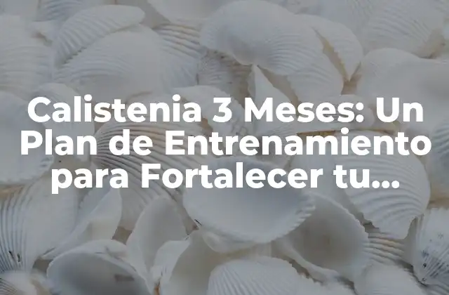 Calistenia 3 Meses: un Plan de Entrenamiento para Fortalecer Tu Cuerpo