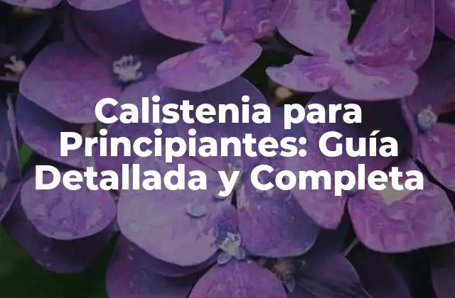 Calistenia para Principiantes: Guía Detallada y Completa