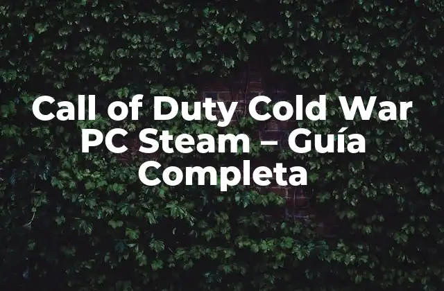 Call Of Duty Cold War Pc Steam – Guía Completa
